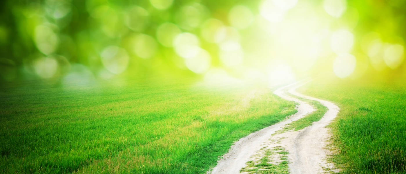 Gesprächstherapie nach Carl Rogers – Heilung durch echte Begegnung